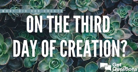 What did God create on the third day of creation? | GotQuestions.org