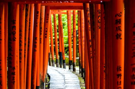 The Top 9 Shrines to Visit in Tokyo - Savvy Tokyo