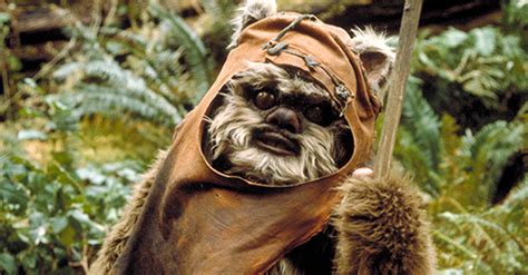 Help Us Decide If The Build-A-Bear Ewok Is Adorable Or Terrifying | HuffPost