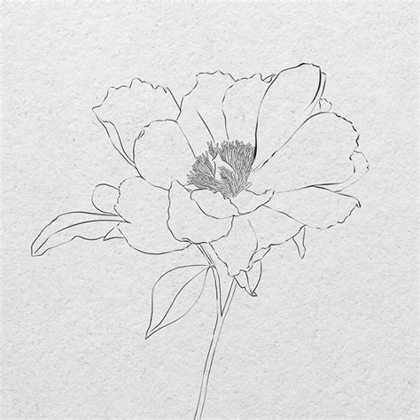 How To Draw Realistic Flowers With Pencil Step By | Best Flower Site