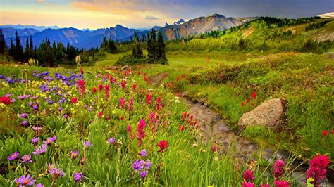 grass, green, peaks, mountain, trees, meadow, sharp, flowers, stone ...