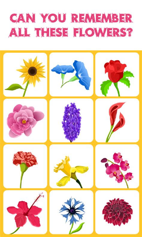 Flowers Match: Memory Game: is a concentration-style educational memory ...