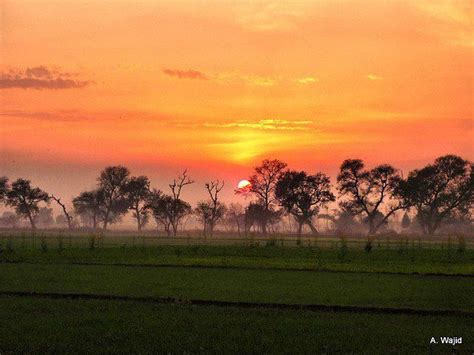 sunset in fields...Punjab, Pakistan