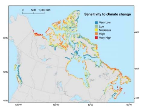 New report outlines climate change challenges on Canada's Arctic coast | CBC News