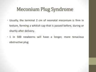 Meconium disease | PPT