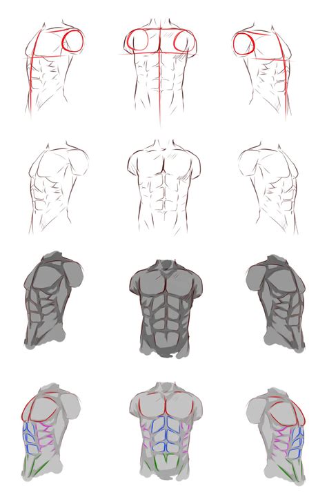 Male anatomy by ryky on DeviantArt Human Figure Drawing, Basic Drawing ...