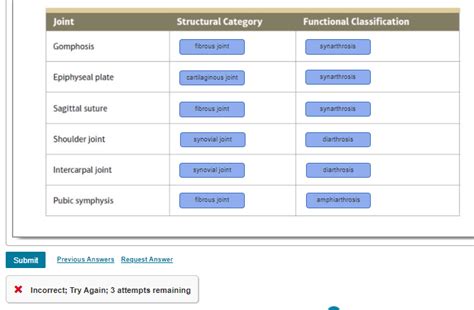 Answered: Joint Structural Category Functional… | bartleby