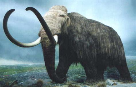 Amazing Extinct Animals That Supposed To Be Resurrected By Cloning | Most Amazing Extinct Animals