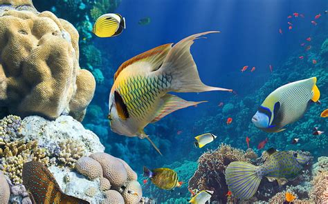 HD wallpaper: Animals Fishes Sharks Ocean Sea Underwater Sand Sunlight Predator Magazine ...
