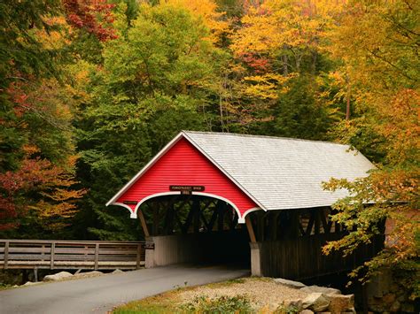 21 beautiful covered bridges to visit on a fall road trip | BusinessInsider India