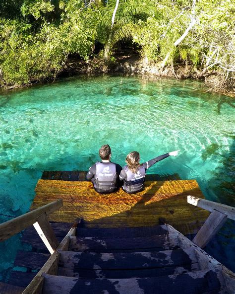 Rio Sucuri, em Bonito, Mato Grosso do Sul | Brazil tourism, Tourism, Bonito