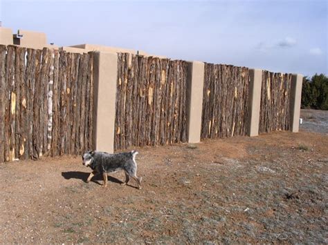 Natalie (my old blue healer) guarding formal coyote fence with stucco pillars | Backyard fences ...