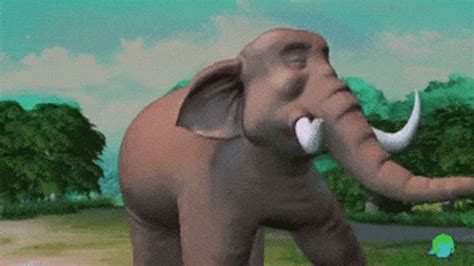 Elephant Gif