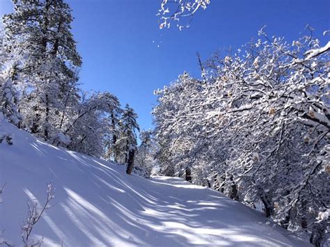 Running Springs Photos - Featured Images of Running Springs, CA ...