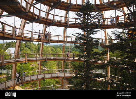 Viewing Tower of the Tree top walk in National Park Bavarian Forest ...