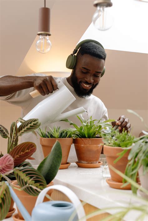 Everything you need to know about watering indoor plants - Lively Up Homes