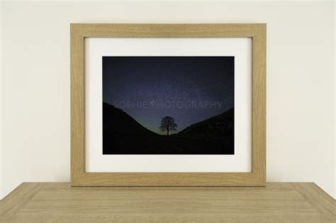 Sycamore Gap Milky Way — Sophie Photography - North East Landscape Photography