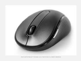 What is mouse? | Definition from TechTarget