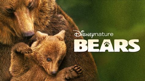 Watch Disneynature Bears | Full Movie | Disney+