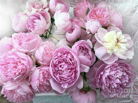 Romantic Pastel Pink Peonies Bouquet of Flowers - Shabby Chic Peonies ...