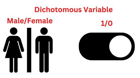 Dichotomous Variable - Definition Types and Examples