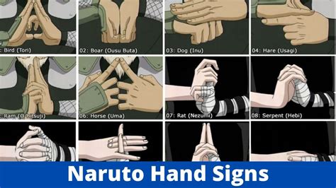 What are the Naruto Hand Signs? How Real Are They? What They Mean? - Alpha News Call