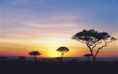 Safari Wallpapers - Top Free Safari Backgrounds - WallpaperAccess