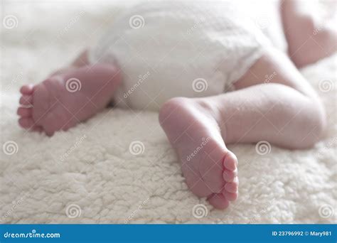 Cheesy sleepy feet pictures – Telegraph