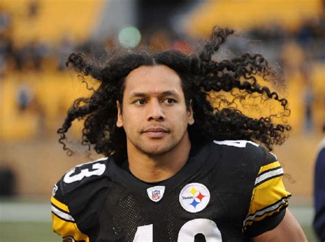 Troy Polamalu | Troy polamalu, Nfl stats, Steelers