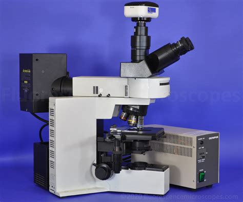 Fluorescence Microscopes - Olympus BX50 Upright Fluorescence Microscope