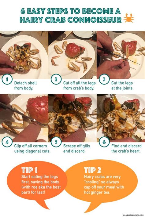 How To Eat Hairy Crab Like A Baller | The Moonberry Blog