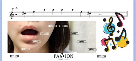 Why Are Vocal Exercises Necessary? - Passion Vocal Studio