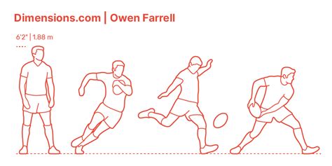 Rugby Ball Dimensions & Drawings | Dimensions.com