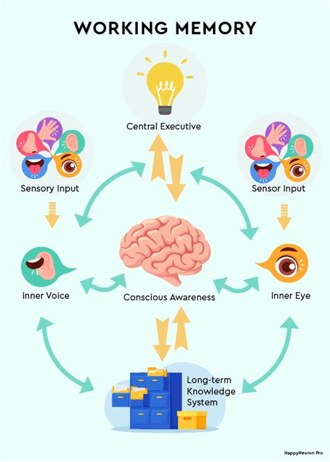 7 Working Memory Activities for Adults & Kids| Online & PDF