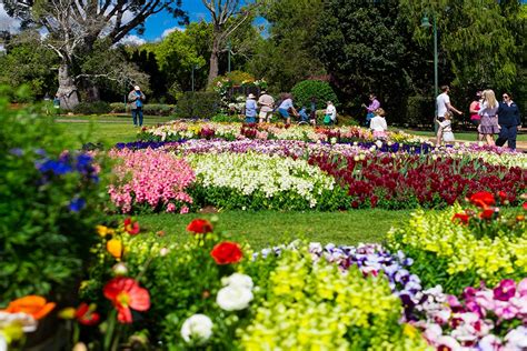 Toowoomba Carnival Of Flowers 2024 Toowoomba | Must Do Brisbane