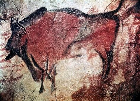 CAVE ART. Standing bull bison from Cave of Altamira