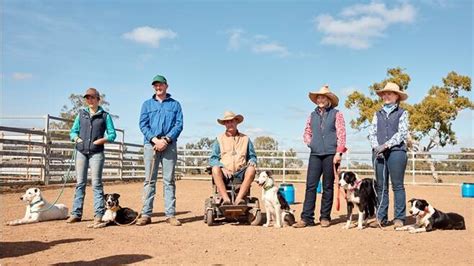 Muster Dogs: Training puppies to be working dogs - ABC TV | Bendigo Advertiser | Bendigo, VIC