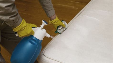 How to Clean Memory Foam Mattresses: Steps & Tips