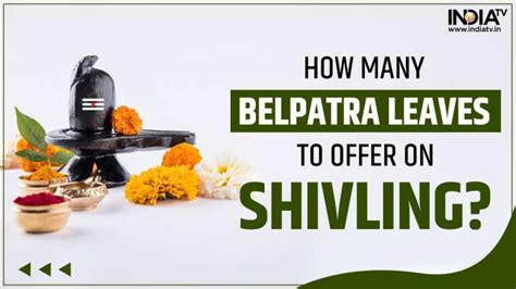 Maha Shivratri 2023: How many belpatra leaves should be offered on ...