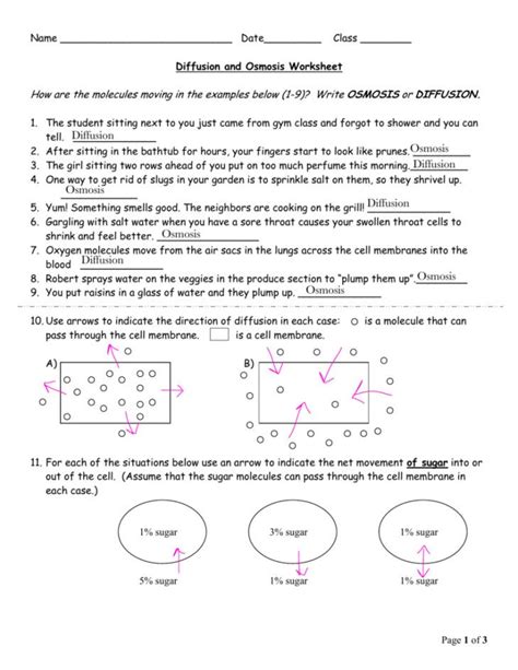 Cool Diffusion Osmosis And Tonicity Worksheet Answer Key Ideas