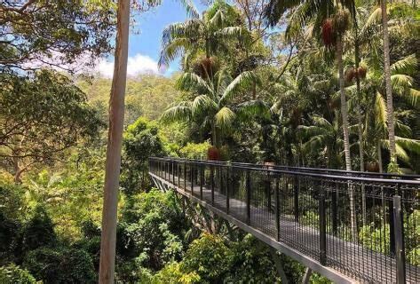 Tamborine Rainforest Skywalk, Tamborine Mountain | Ticket Price ...