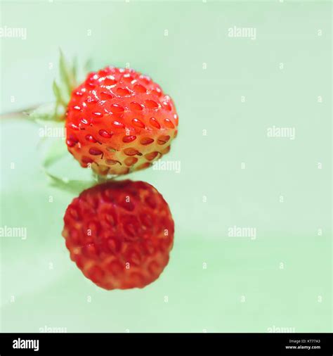 Two Strawberry On A Light Green Background Stock Photo - Alamy
