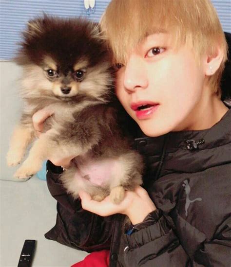 Yeontan | Wiki | BTS Amino