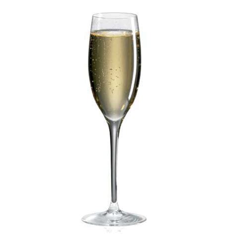 Luxury Cuvee Champagne Glasses | All Things Crystal