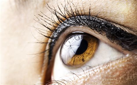 Download Macro Brown Eyes Woman Eye HD Wallpaper