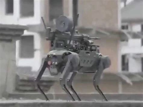 China's latest dystopian creation: A machine gun-mounted robo-dog | National Post