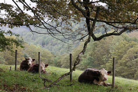 Vermont Fall foliage 2023: residents close a road, stop tourists