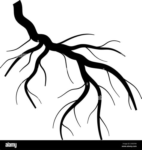 nutrients tree root cartoon vector illustration Stock Vector Image & Art - Alamy