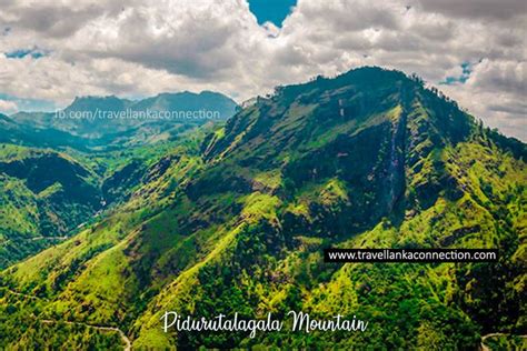 Pidurutalagala Mountain | Asia travel, Central province, Places to travel