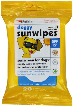 Best Sunscreen For Dogs: Stay Safe in the Sunshine!